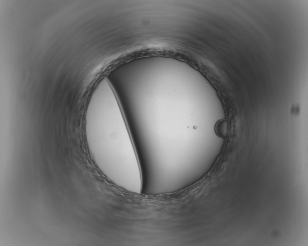 X0000112800776200908211002