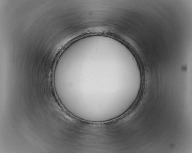 X0000112800778200908211002