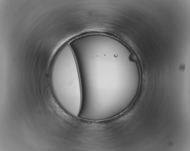 X0000112800779200908211002