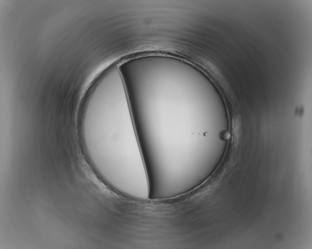 X0000112800780200908211002