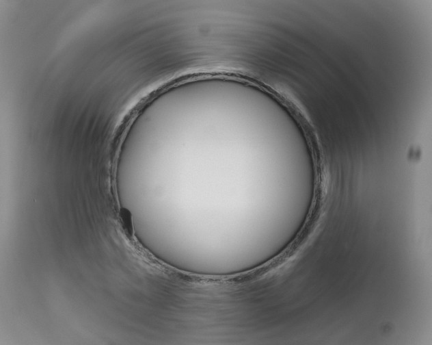 X0000112800781200908211002