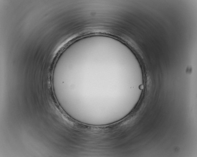 X0000112800782200908211002