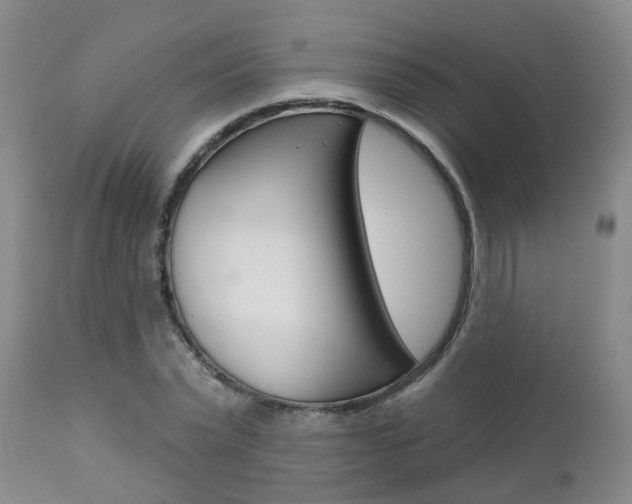 X0000112800783200908211002