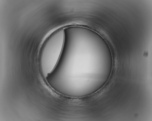 X0000112800784200908211002