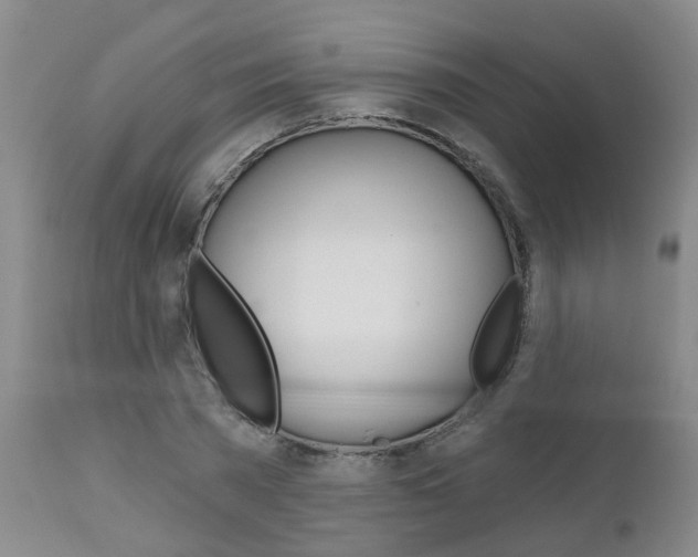 X0000112800785200908211002