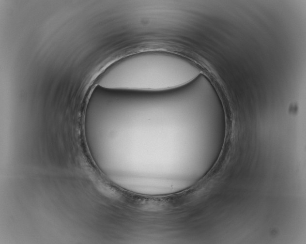 X0000112800786200908211002