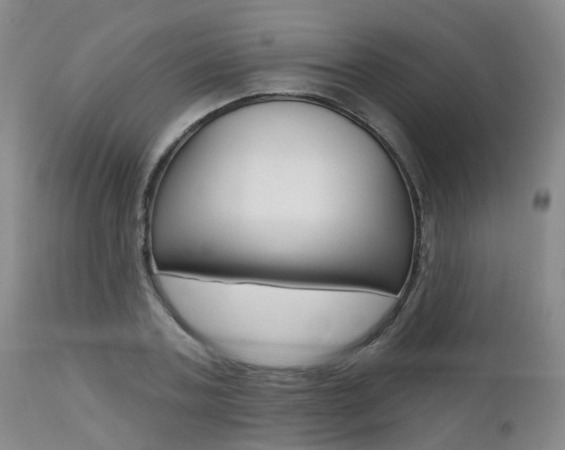 X0000112800787200908211002