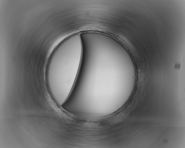 X0000112800788200908211002