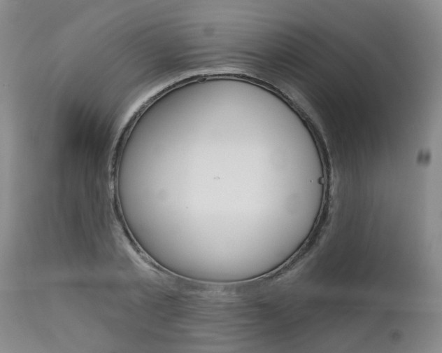 X0000112800789200908211002