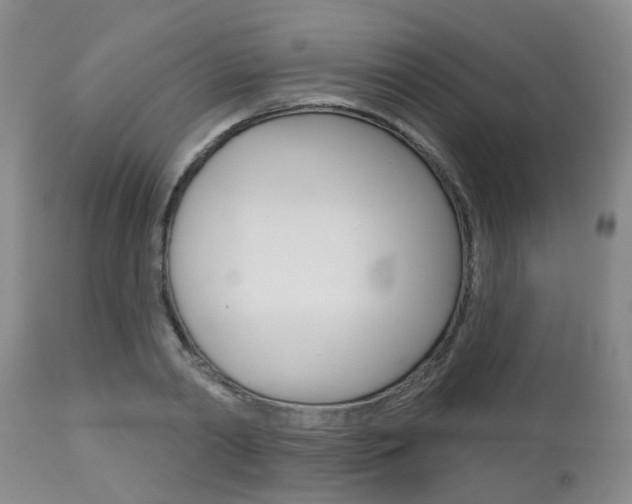 X0000112800790200908211002