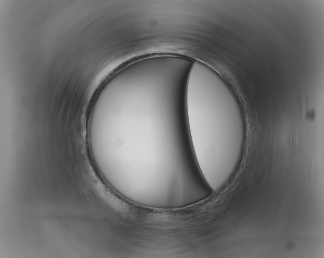 X0000112800792200908211002