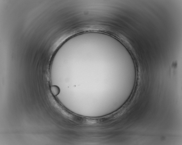 X0000112800794200908211002
