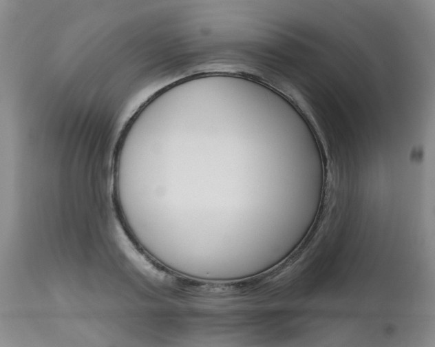 X0000112800795200908211002