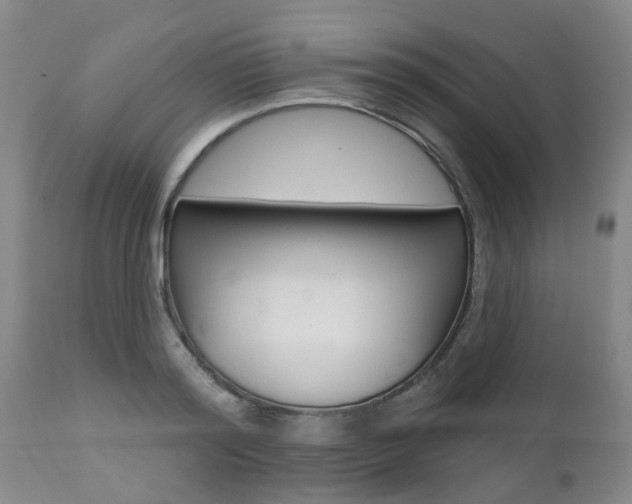 X0000112800796200908211002