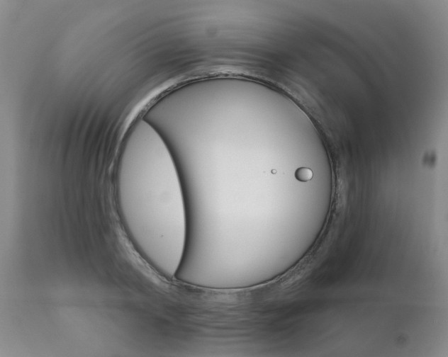 X0000112800798200908211002