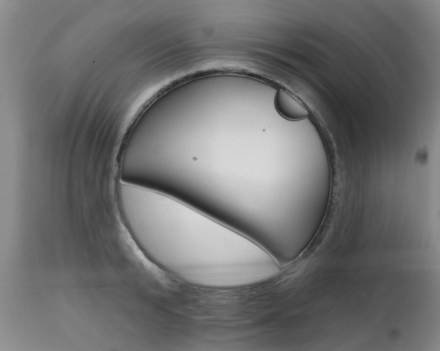 X0000112800799200908211002