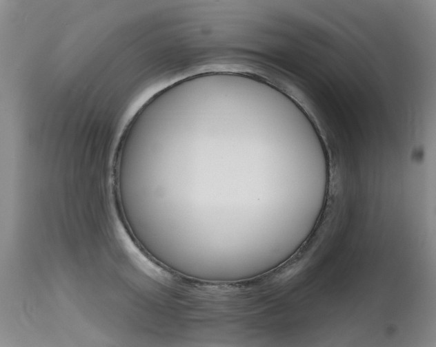 X0000112800803200908211001