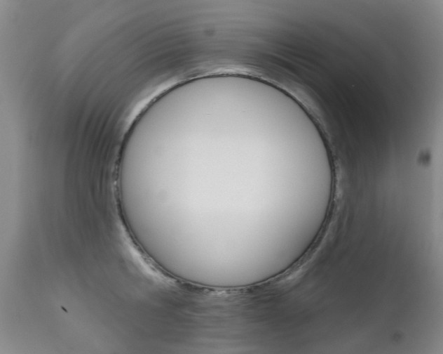 X0000112800806200908211001