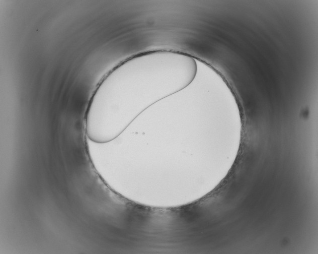 X0000112800807200908211001