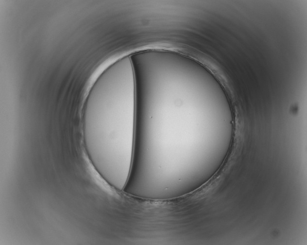 X0000112800808200908211001
