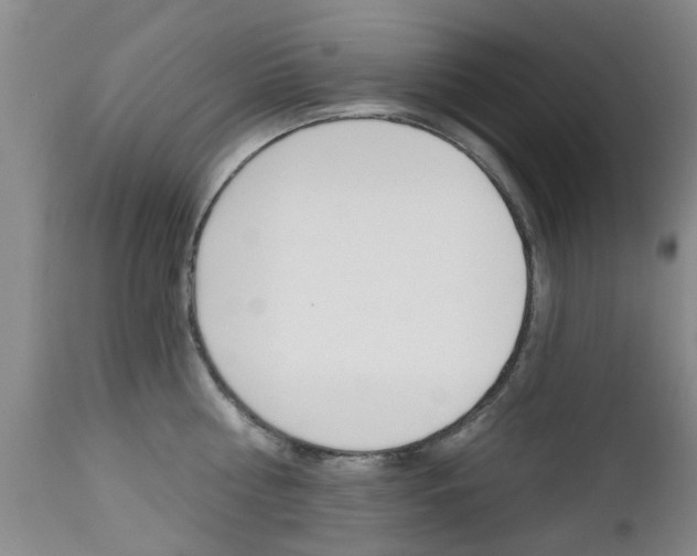 X0000112800810200908211001