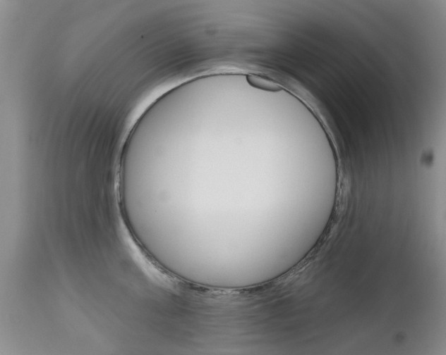 X0000112800811200908211001