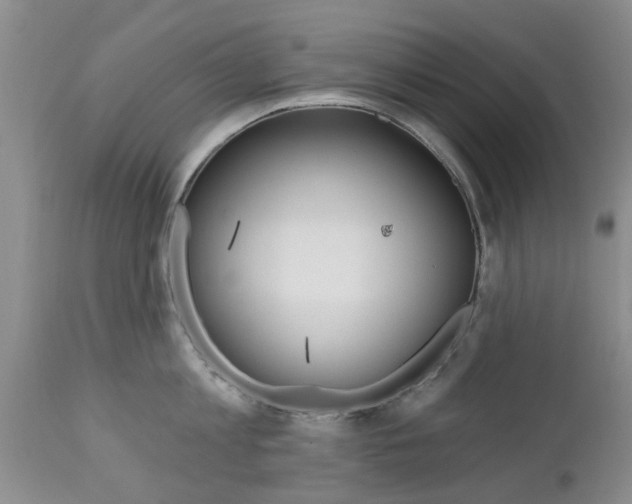 X0000112800813200908211001