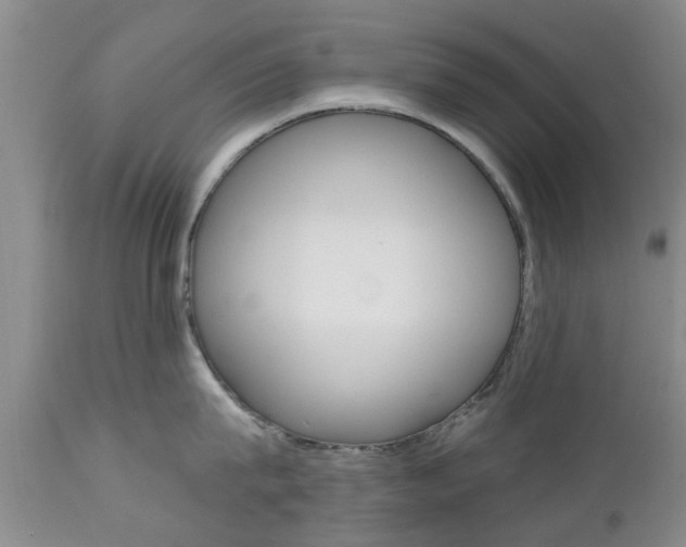 X0000112800815200908211001
