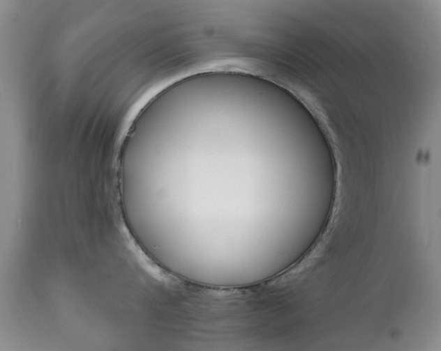 X0000112800816200908211001