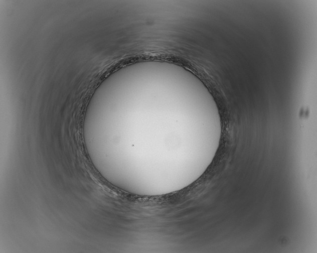 X0000112800817200908211001