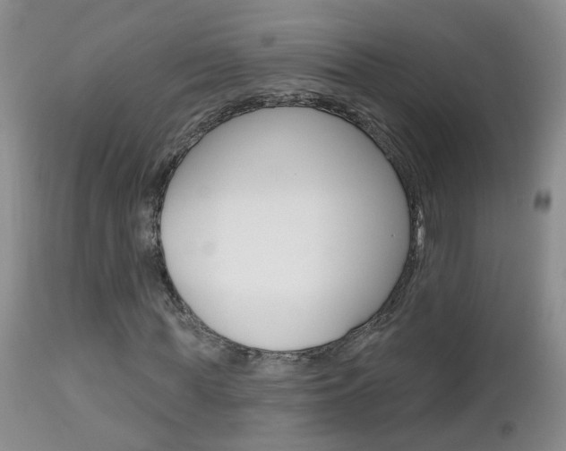 X0000112800819200908211001