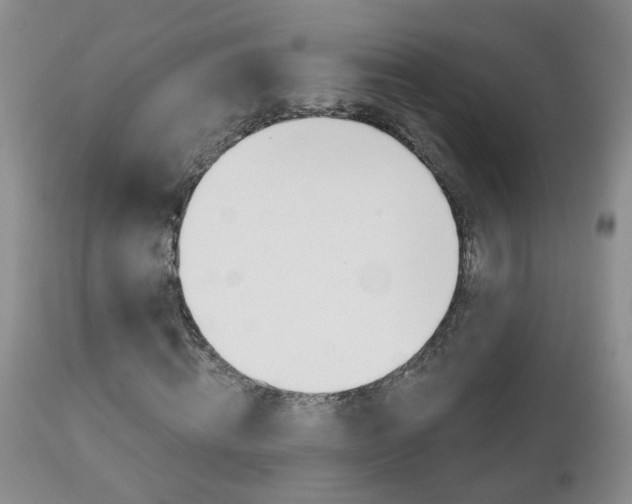 X0000112800820200908211001