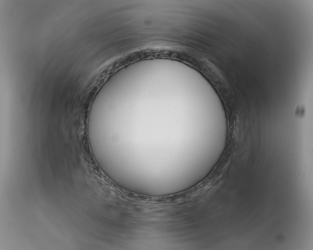 X0000112800821200908211001