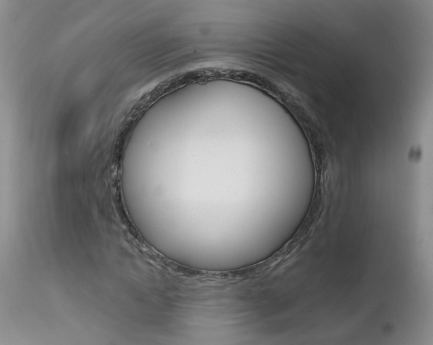 X0000112800822200908211001