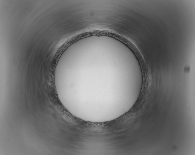 X0000112800823200908211001