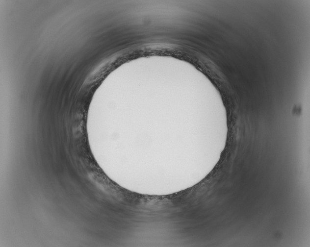 X0000112800824200908211001