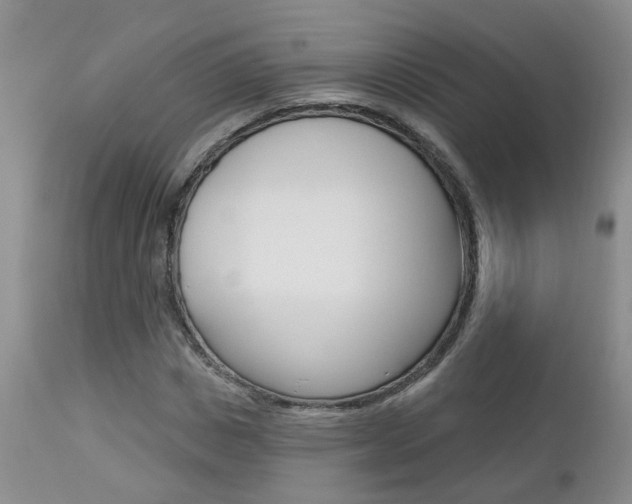 X0000112800825200908211001