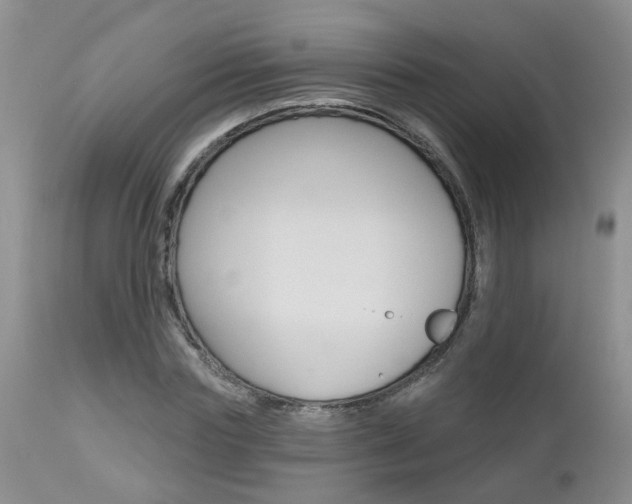 X0000112800827200908211001
