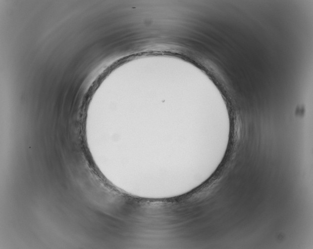 X0000112800828200908211001