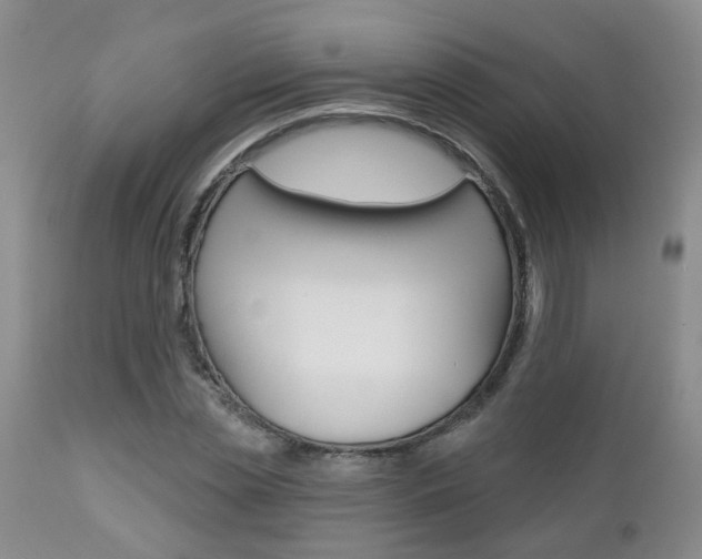 X0000112800829200908211001