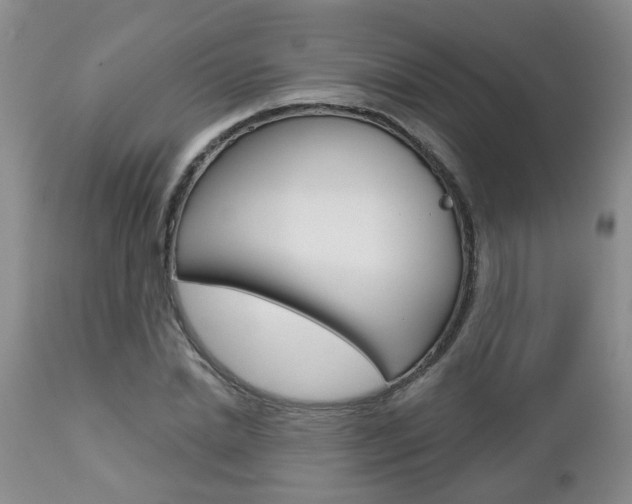 X0000112800830200908211001