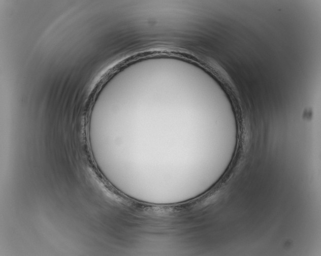 X0000112800831200908211001