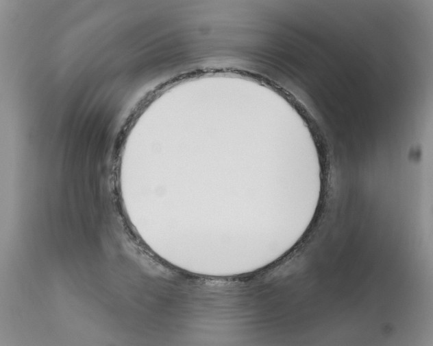 X0000112800832200908211001