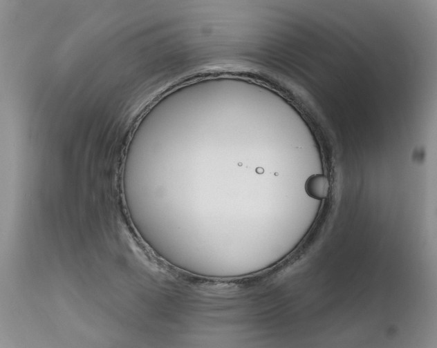 X0000112800833200908211001