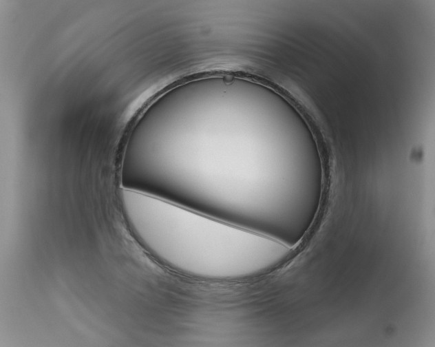 X0000112800834200908211001