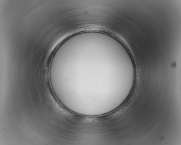 X0000112800835200908211001