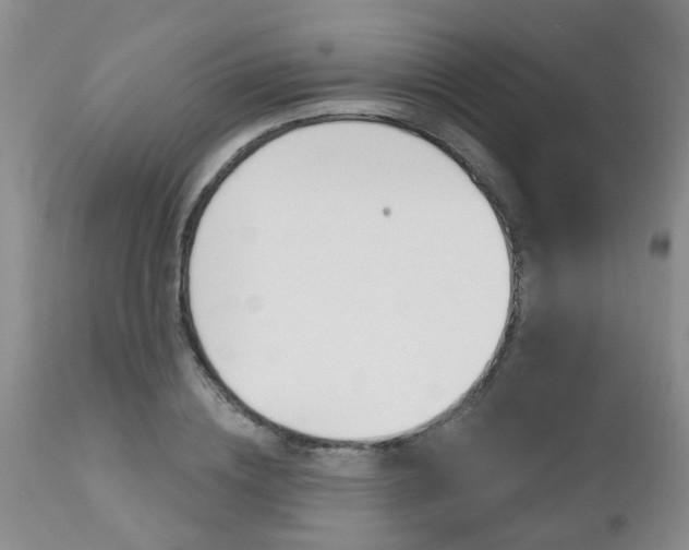 X0000112800836200908211001