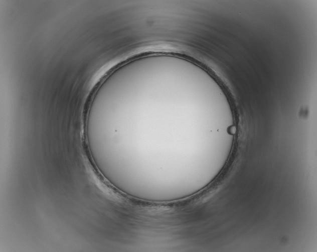 X0000112800837200908211001