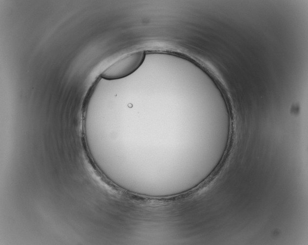 X0000112800839200908211001