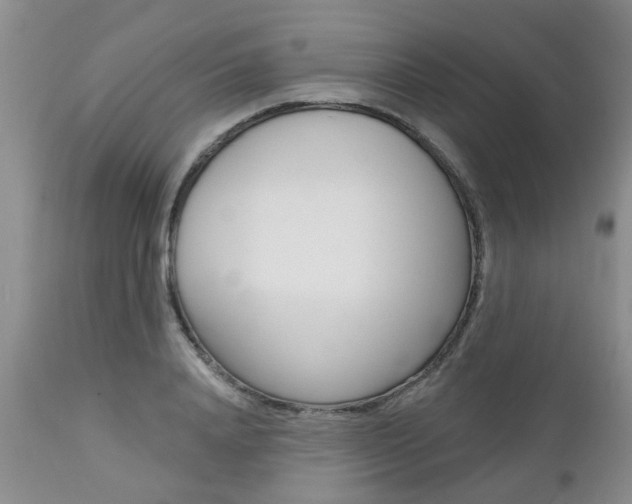 X0000112800840200908211001